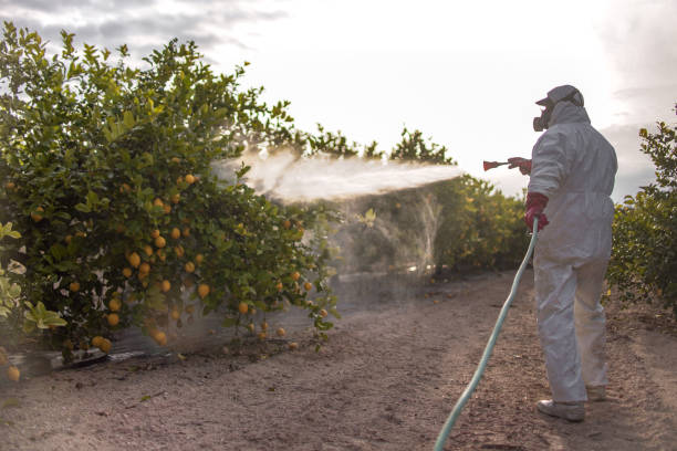 Best Residential Pest Control  in Friedens, PA