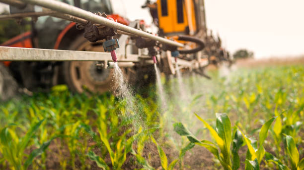 Best Ant Control Services  in Friedens, PA